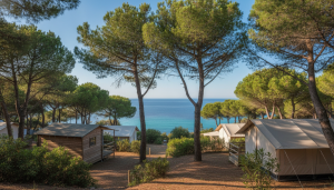 explorez le camping les cigales à cassis, un véritable paradis pour les amoureux de la nature avec ses paysages magnifiques, ses activités en plein air et son ambiance conviviale.